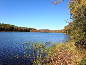 Maces pond october