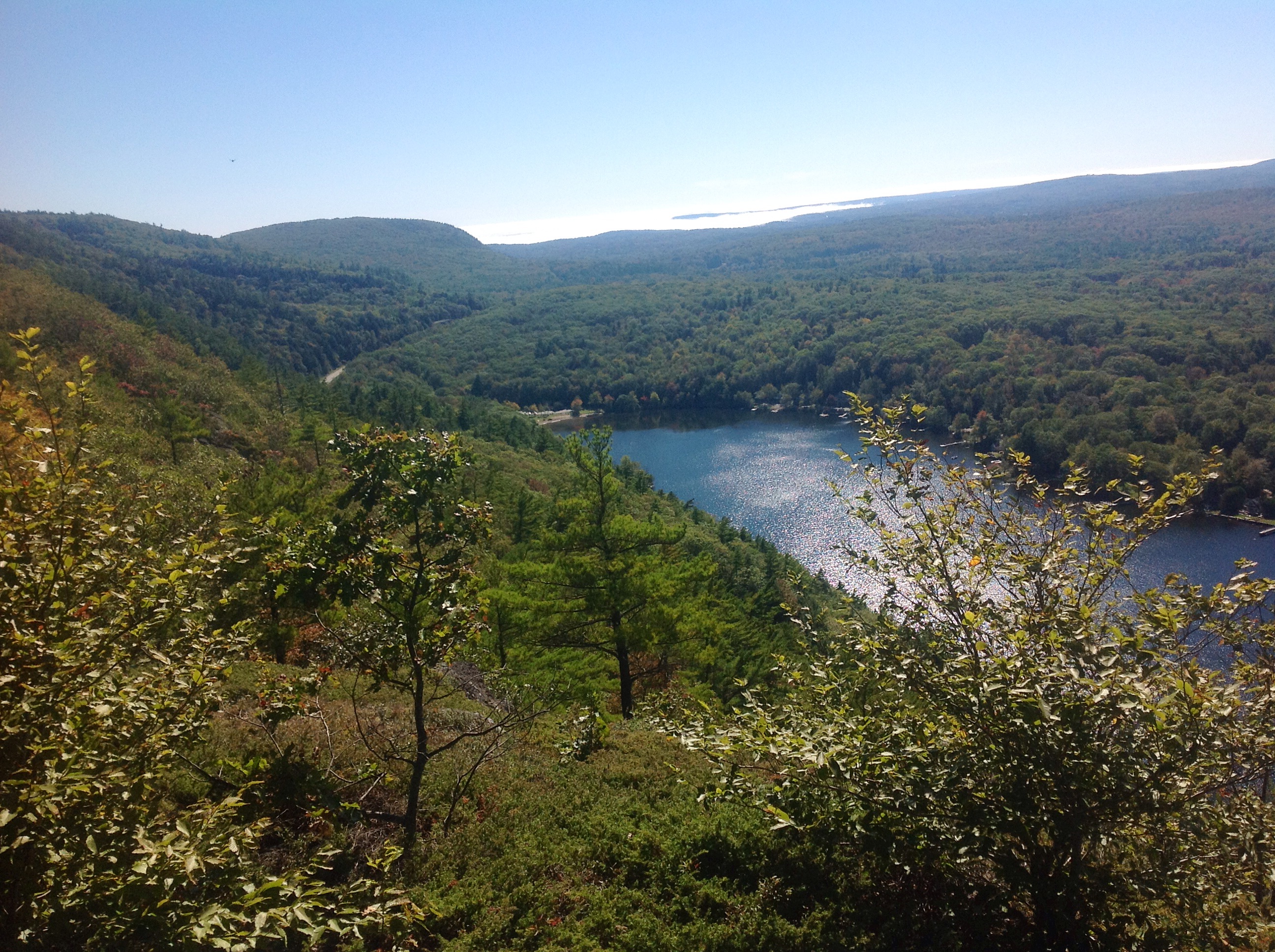 Swimming Midcoast Maine Barrett's Cove