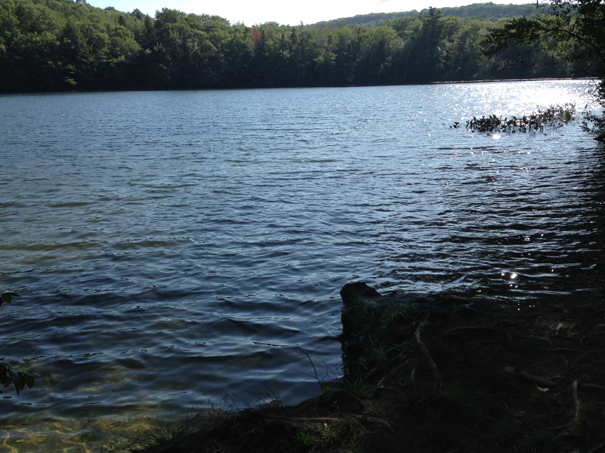Swimming Midcoast Maine Rocky Pond