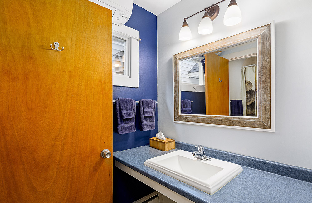 1st Floor Single Queen blue bathroom sink